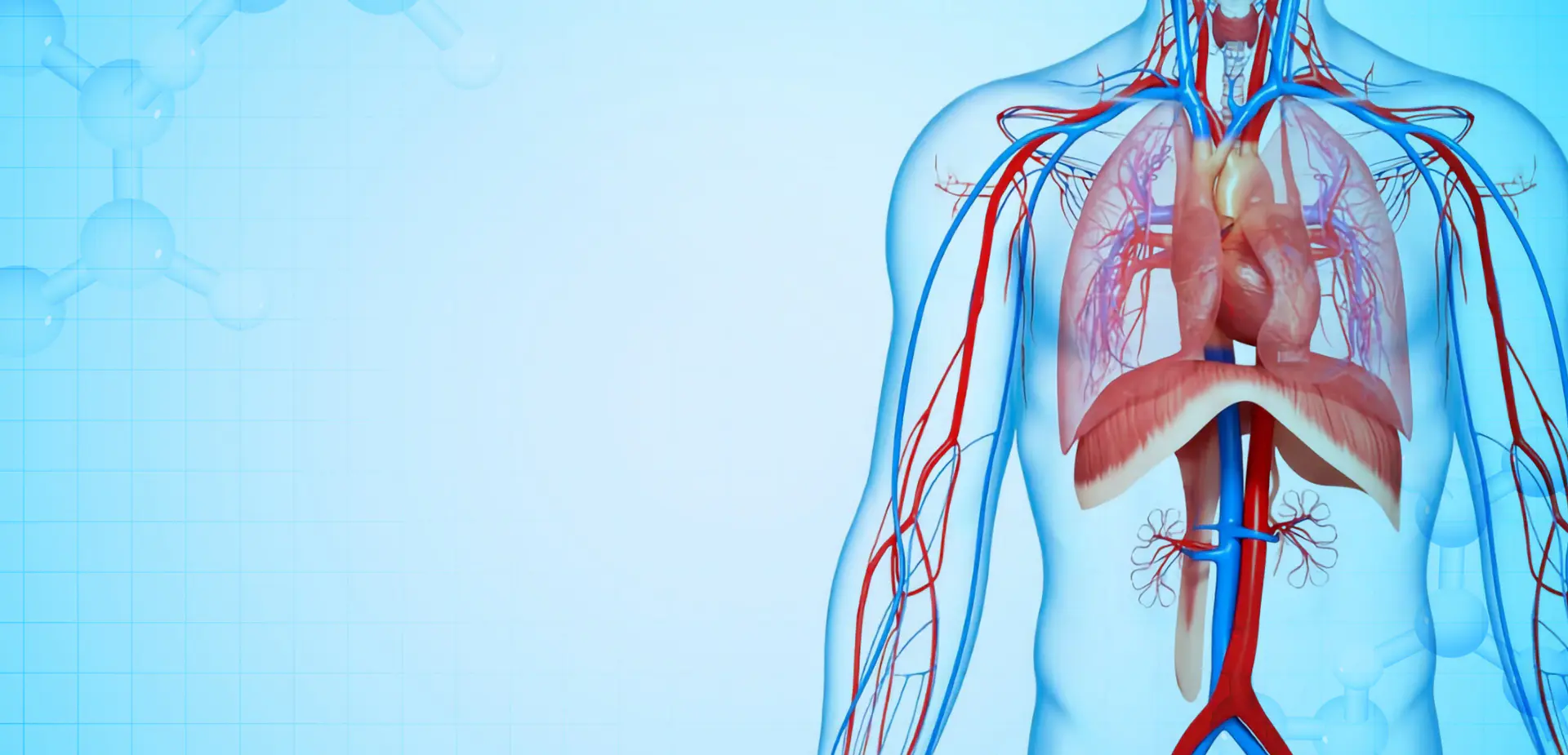 NINGBO LINSTANT POLIMER MATERIALS CO. spółka z ograniczoną odpowiedzialnością