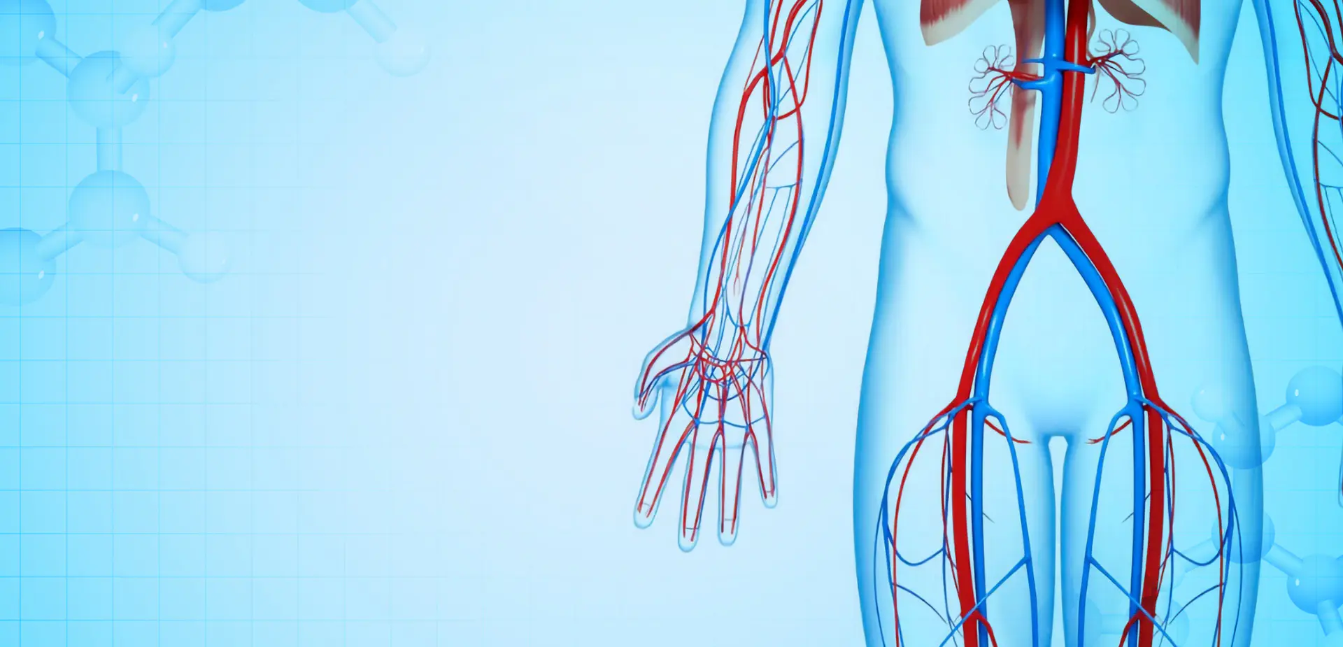 NINGBO LINSTANT POLIMER MATERIALS CO. spółka z ograniczoną odpowiedzialnością