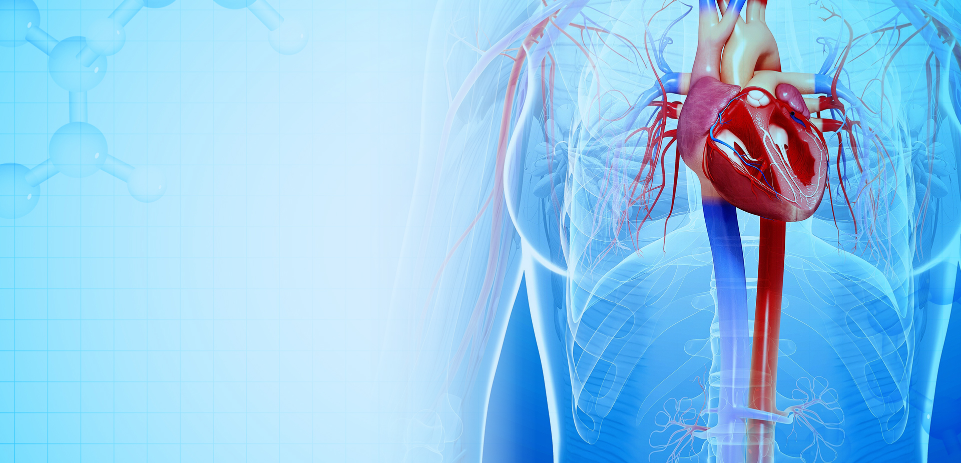 NINGBO LINSTANT POLIMER MATERIALS CO. spółka z ograniczoną odpowiedzialnością