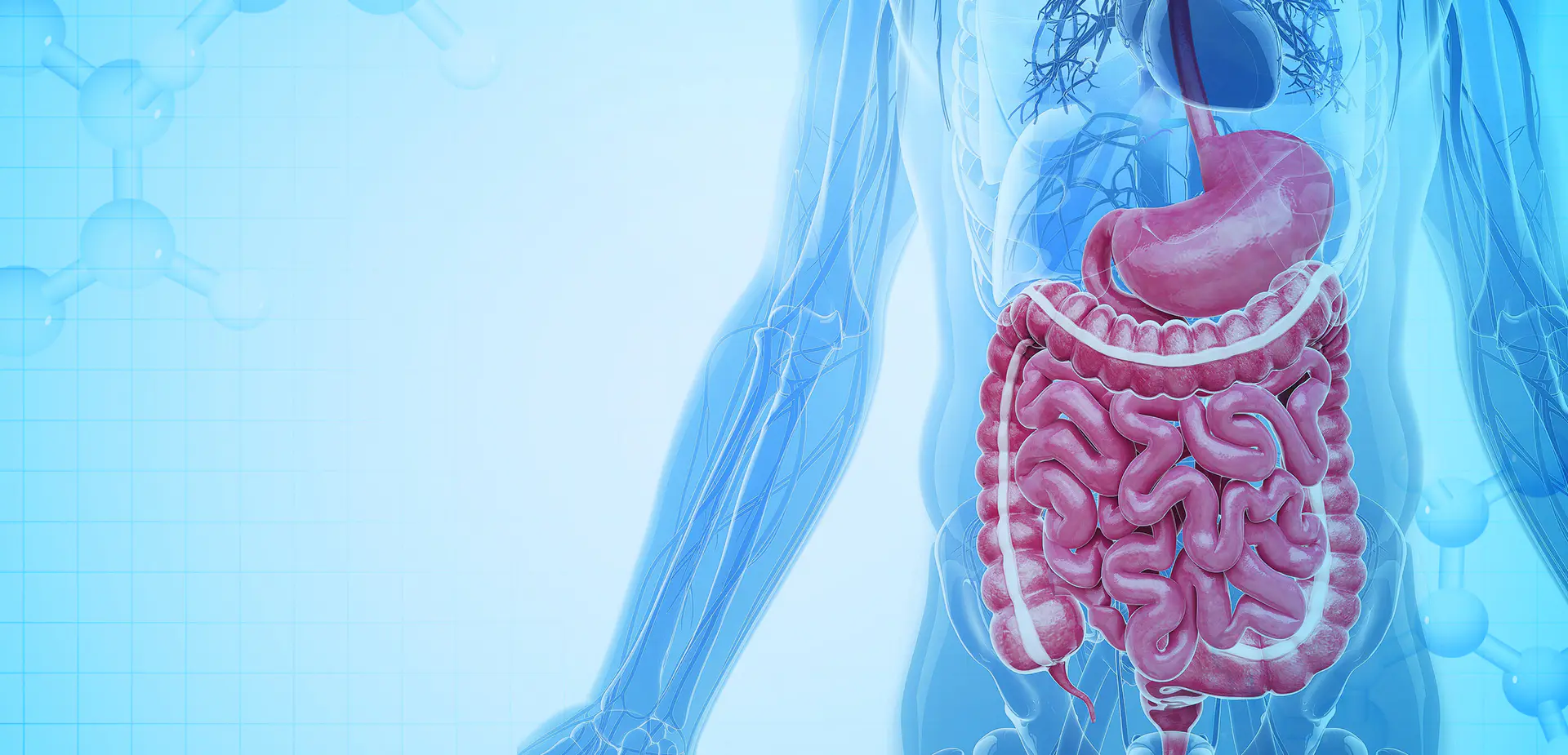 NINGBO LINSTANT POLIMER MATERIALS CO. spółka z ograniczoną odpowiedzialnością