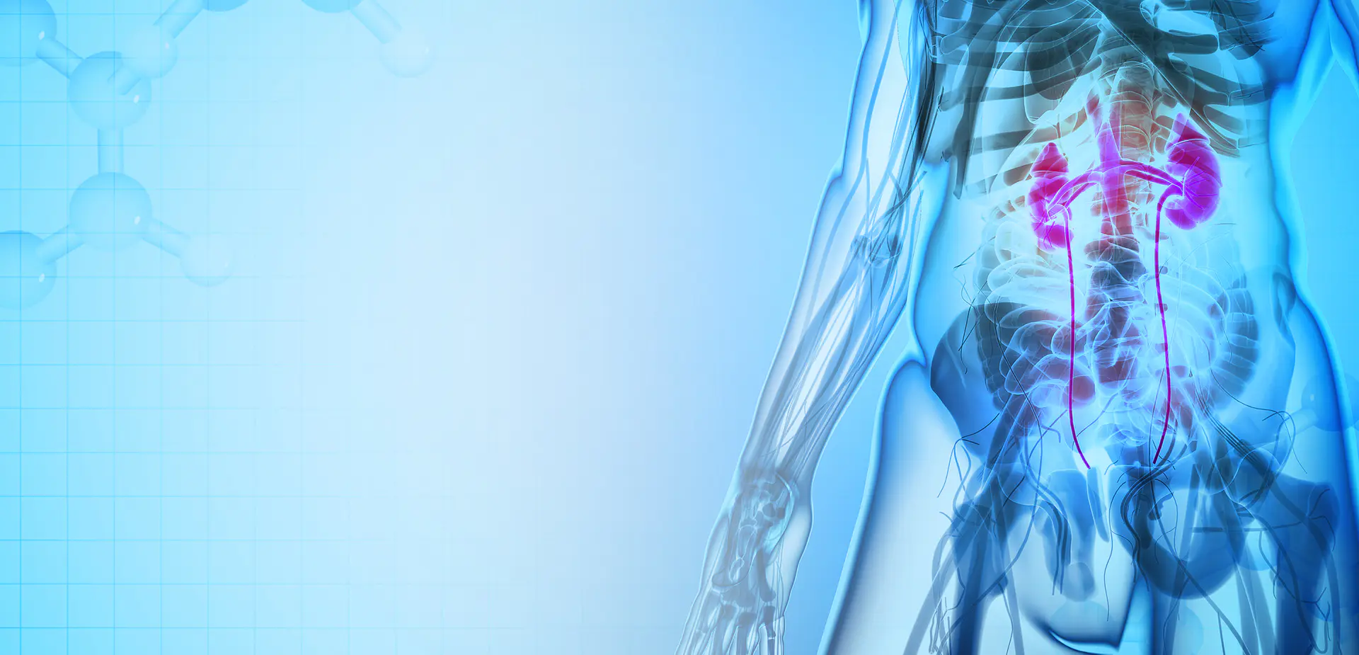 NINGBO LINSTANT POLIMER MATERIALS CO. spółka z ograniczoną odpowiedzialnością